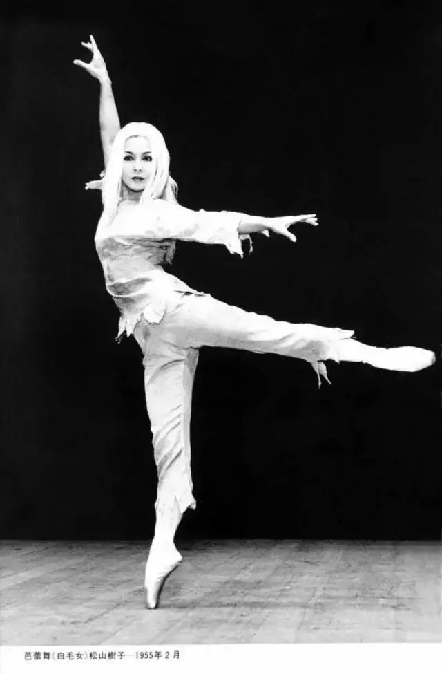 【一衣带水，共创未来】“云亮相”50周年庆典晚会 松山芭蕾舞团祝福视频独家首发